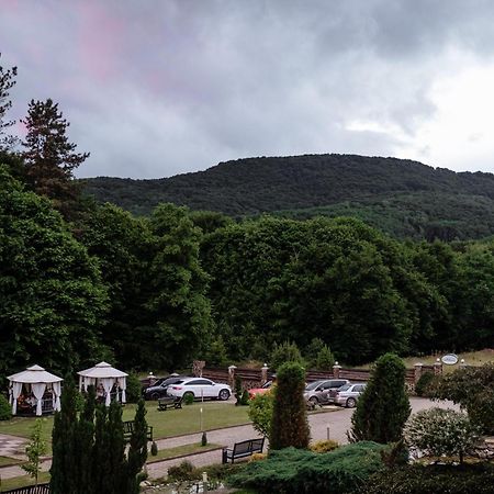 Villa Kvitka Свалява Экстерьер фото
