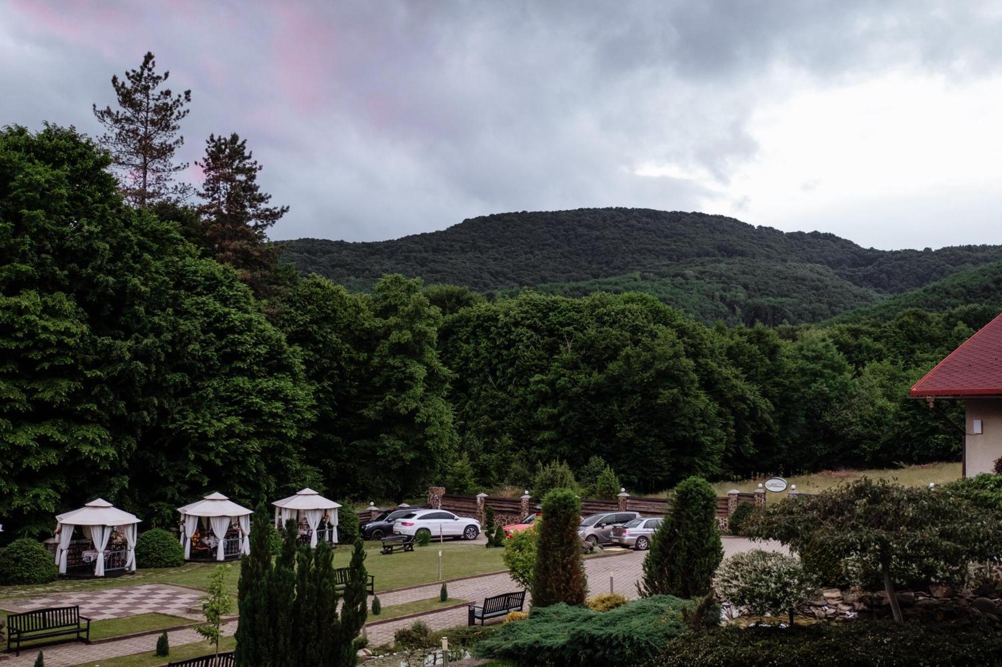 Villa Kvitka Свалява Экстерьер фото