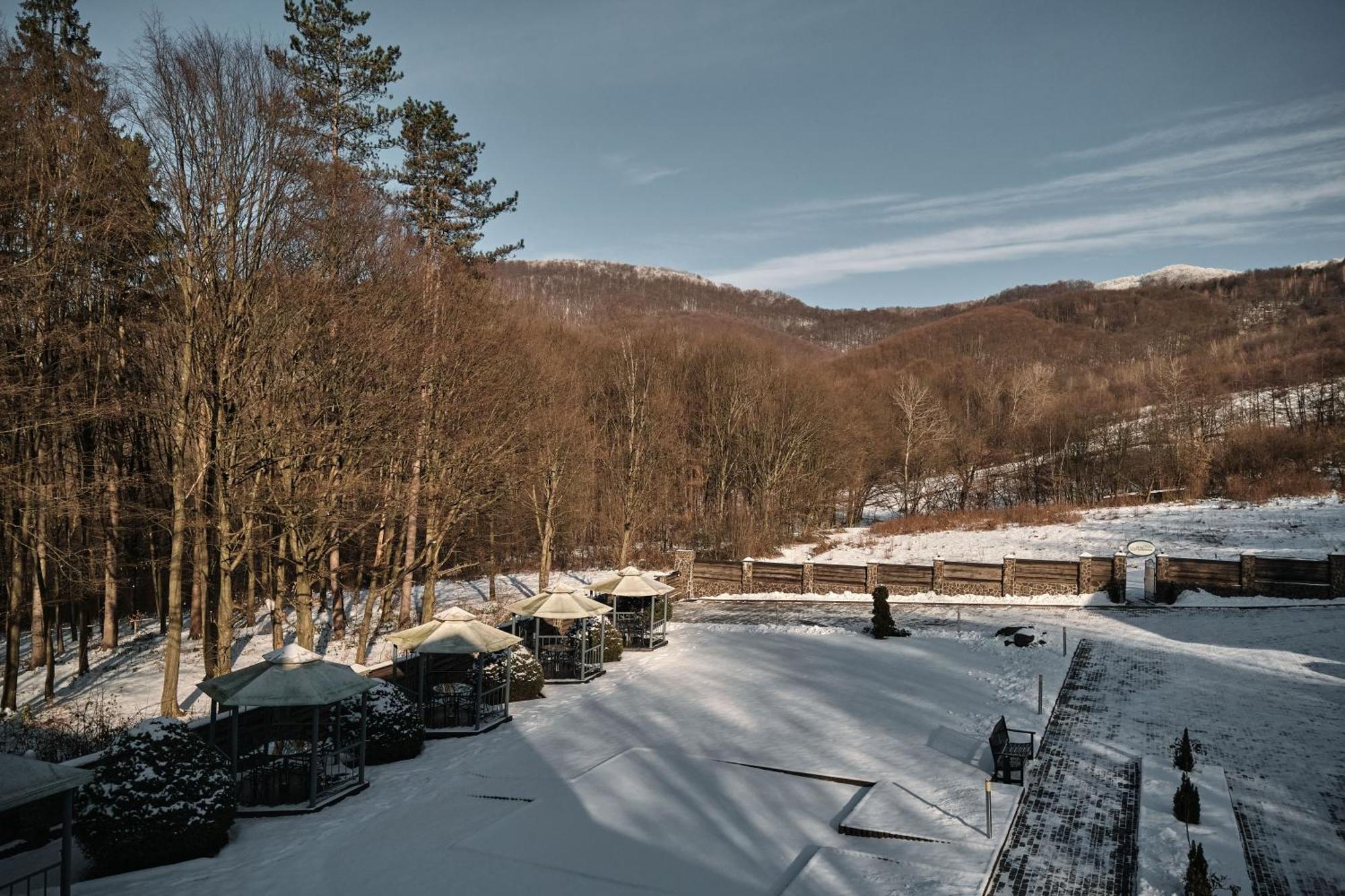 Villa Kvitka Свалява Экстерьер фото