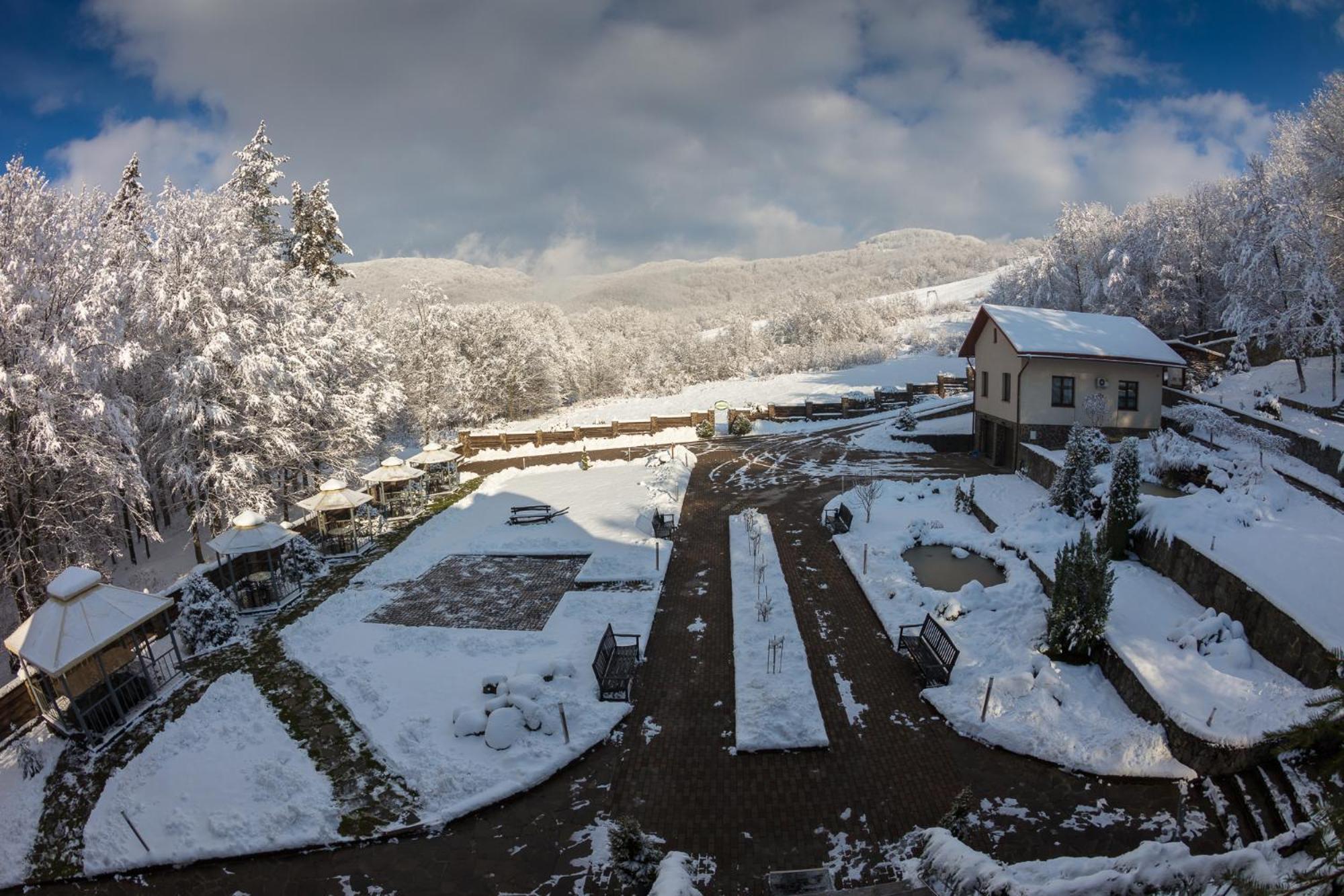 Villa Kvitka Свалява Экстерьер фото