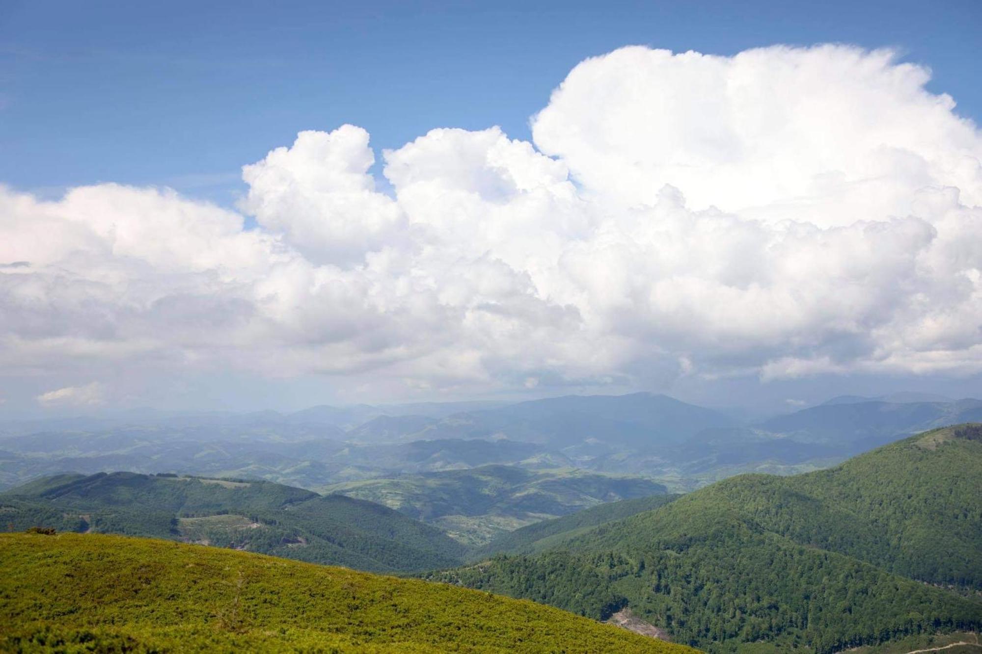 Villa Kvitka Свалява Экстерьер фото