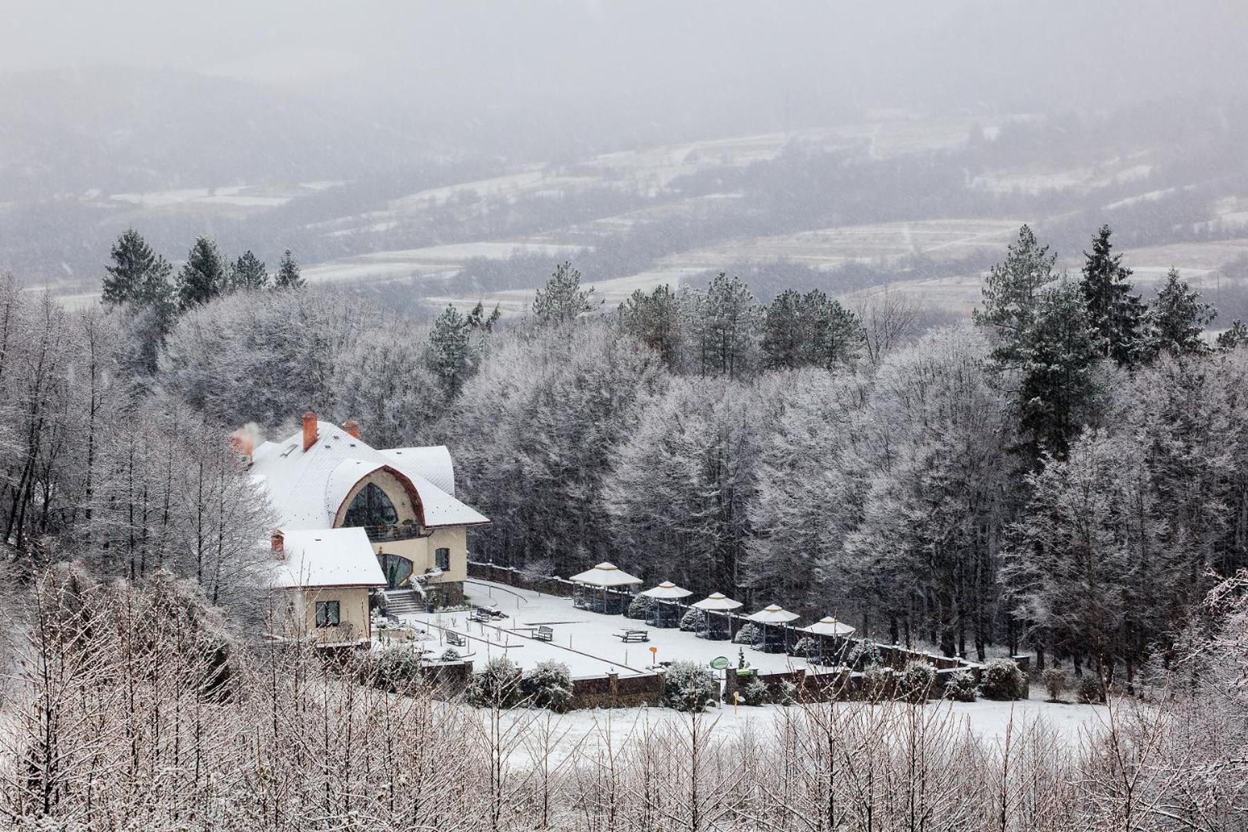 Villa Kvitka Свалява Экстерьер фото