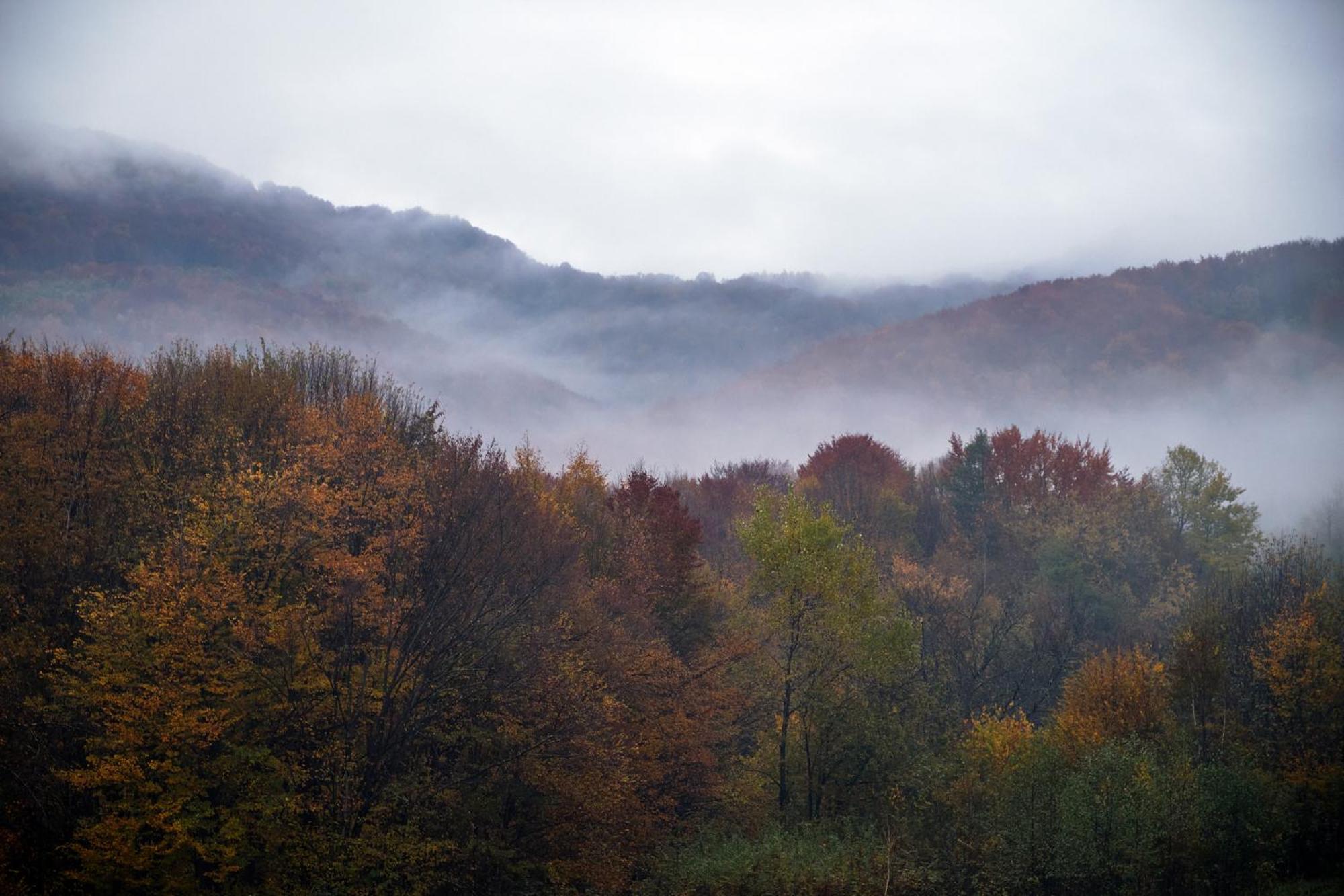 Villa Kvitka Свалява Экстерьер фото
